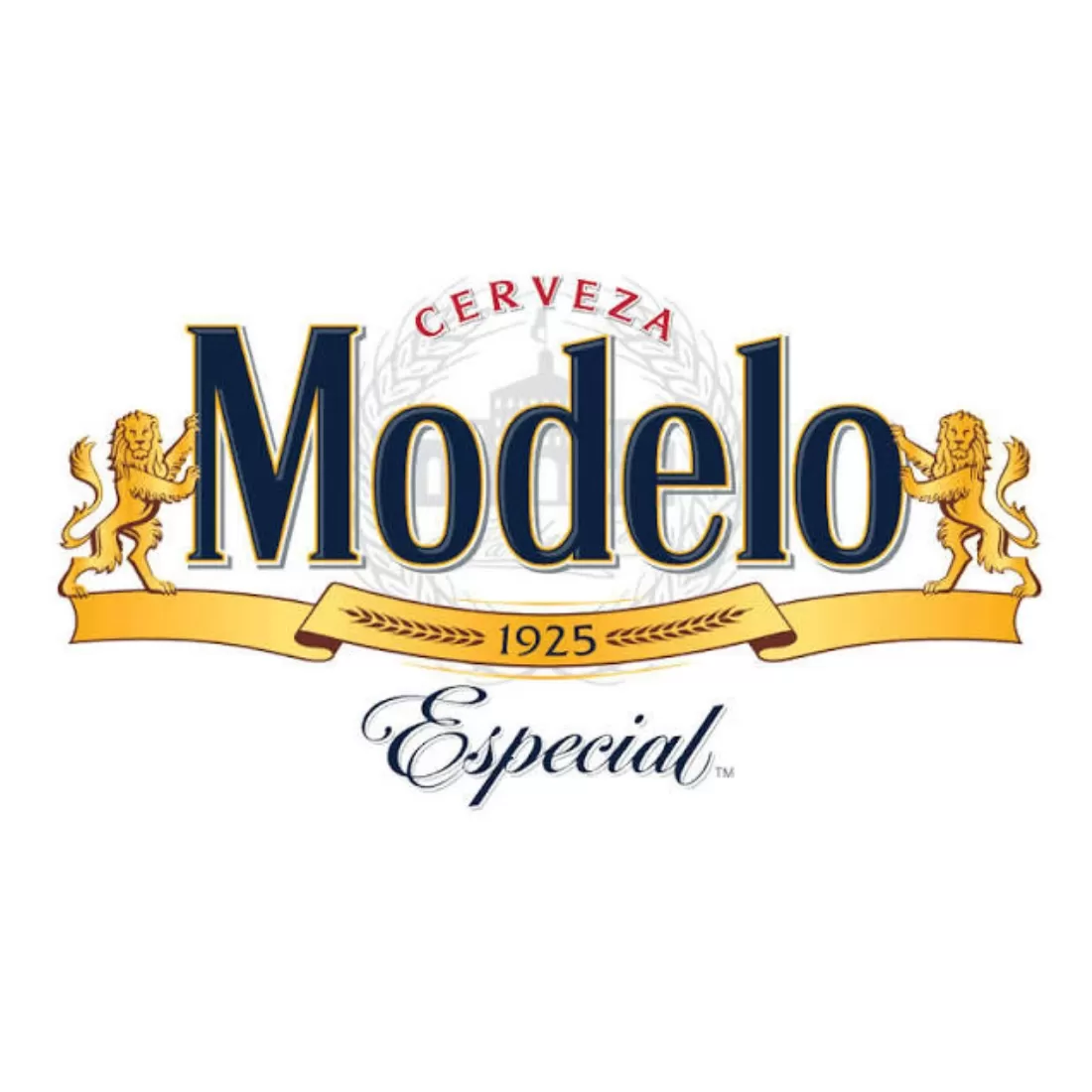 Modelo Especial 