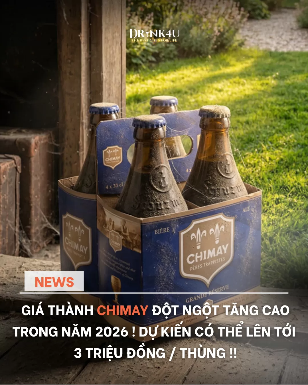 GIÁ THÀNH CHIMAY ĐỘT NGỘT TĂNG CAO TRONG NĂM 2026 ...LÝ DO VÌ SAO ?