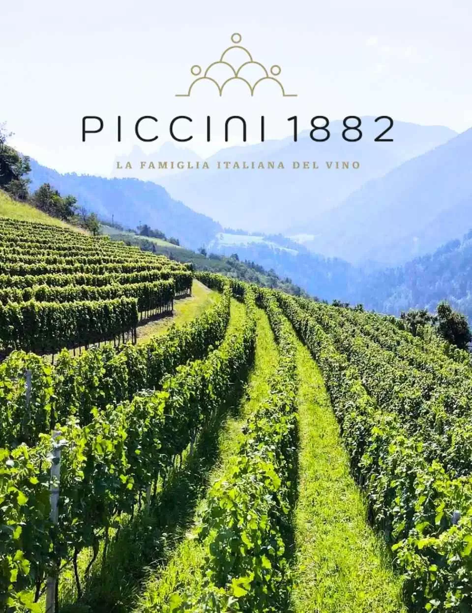 Piccini (Ý)
