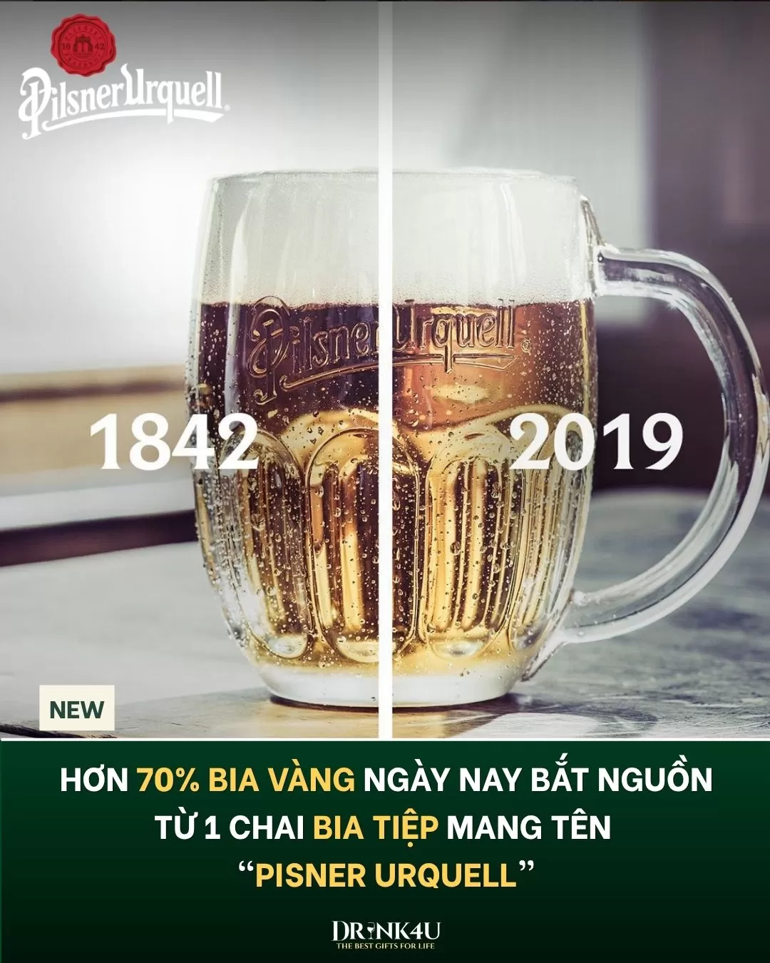 Hơn 70% bia vàng ngày nay bắt nguồn từ 1 chai bia Tiệp