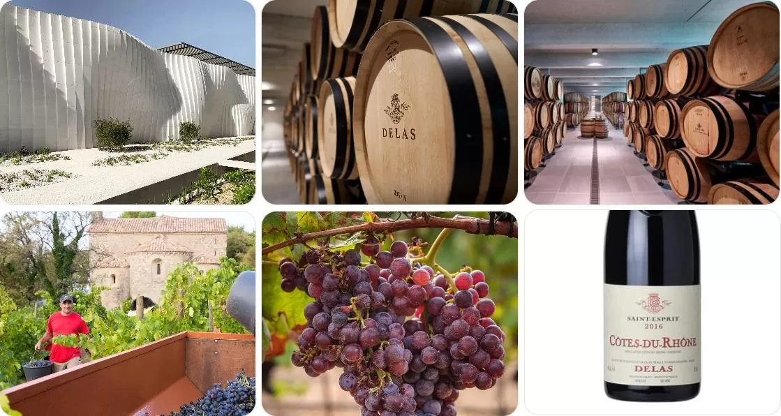 DELAS SAINT ESPRIT CÔTES DU RHÔNE – PHONG CÁCH VANG MIỀN NAM NƯỚC PHÁP