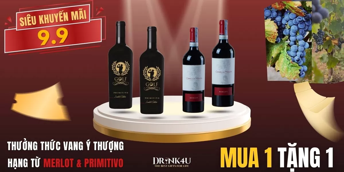 NHỮNG CHAI VANG Ý CÓ NỒNG ĐỘ CỒN CAO, ĐẬM ĐÀ