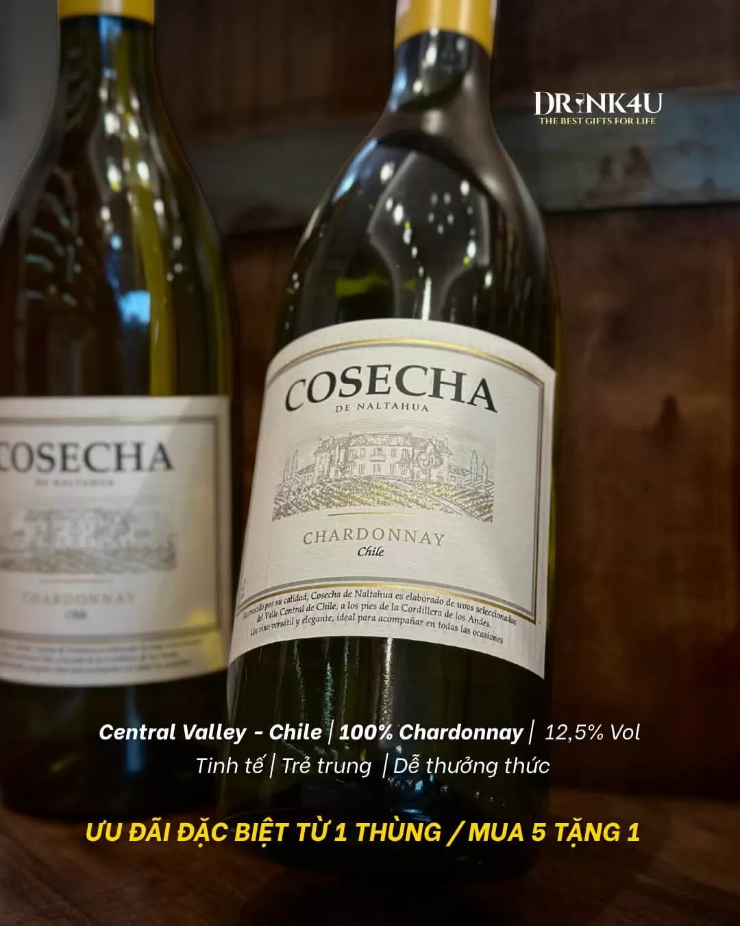 COSECHA DE NALTAHUA CHARDONNAY – CHAI VANG TRẮNG CHILE VỚI PHONG CÁCH NHẸ NHÀNG, DỄ UỐNG