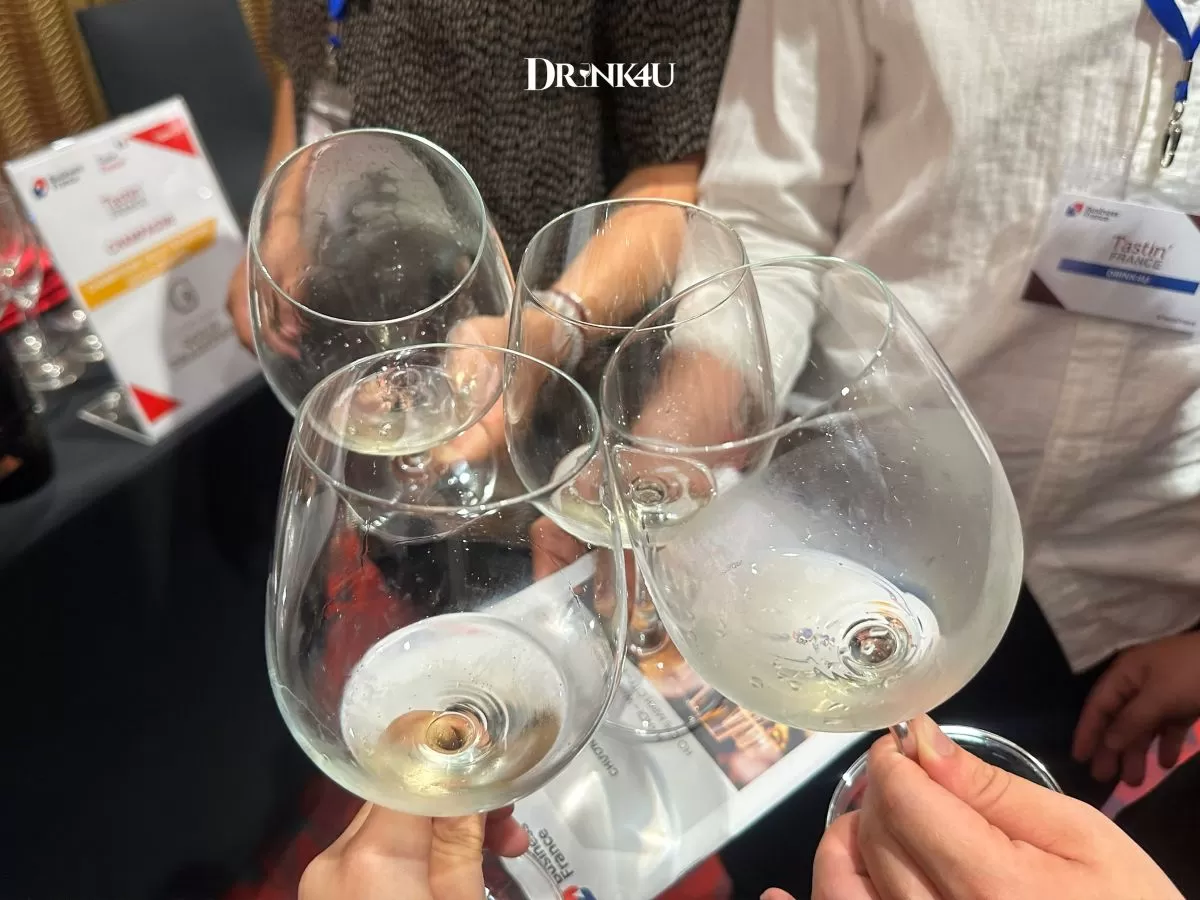 RƯỢU NHO CÓ PHẢI RƯỢU VANG KHÔNG? CÁCH PHÂN BIỆT RÕ RÀNG ĐỂ TRÁNH NHẦM LẪN