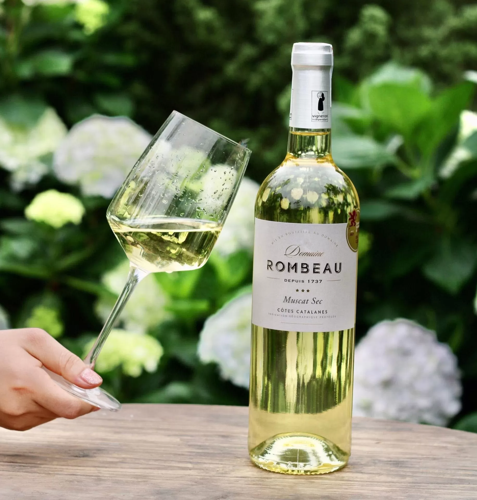 RƯỢU VANG TRẮNG PHÁP – TINH HOA THANH LỊCH CỦA NGHỆ THUẬT LÀM VANG